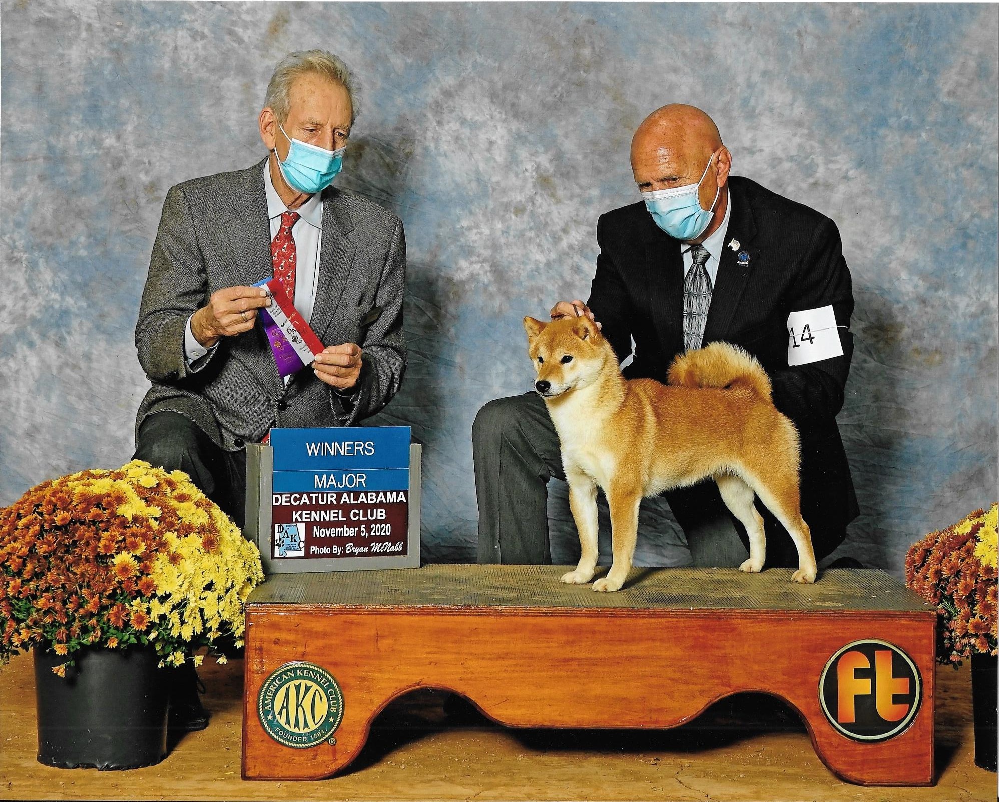 Shiba Inu Puppies, Champion Shiba Inus - Marma Farms